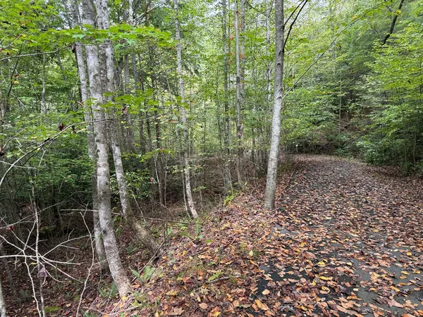 a view of outdoor space and garden