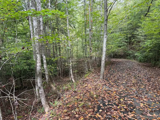 a view of outdoor space and garden