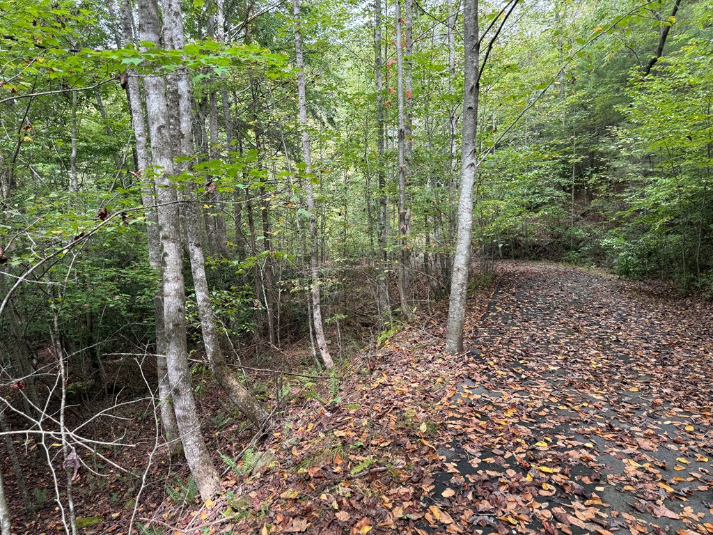 0 Reserve Estate Murphy, NC 28906 - Photo 9 of 18 a view of outdoor space and garden
