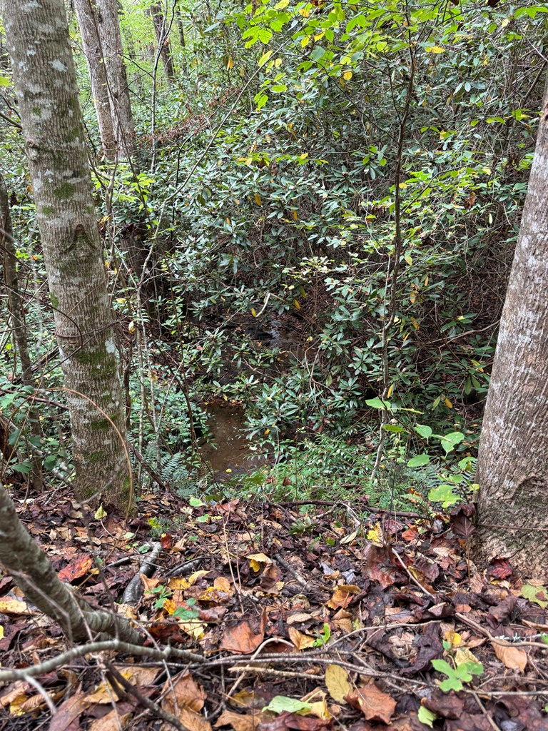 0 Reserve Estate Murphy, NC 28906 - Photo 10 of 18