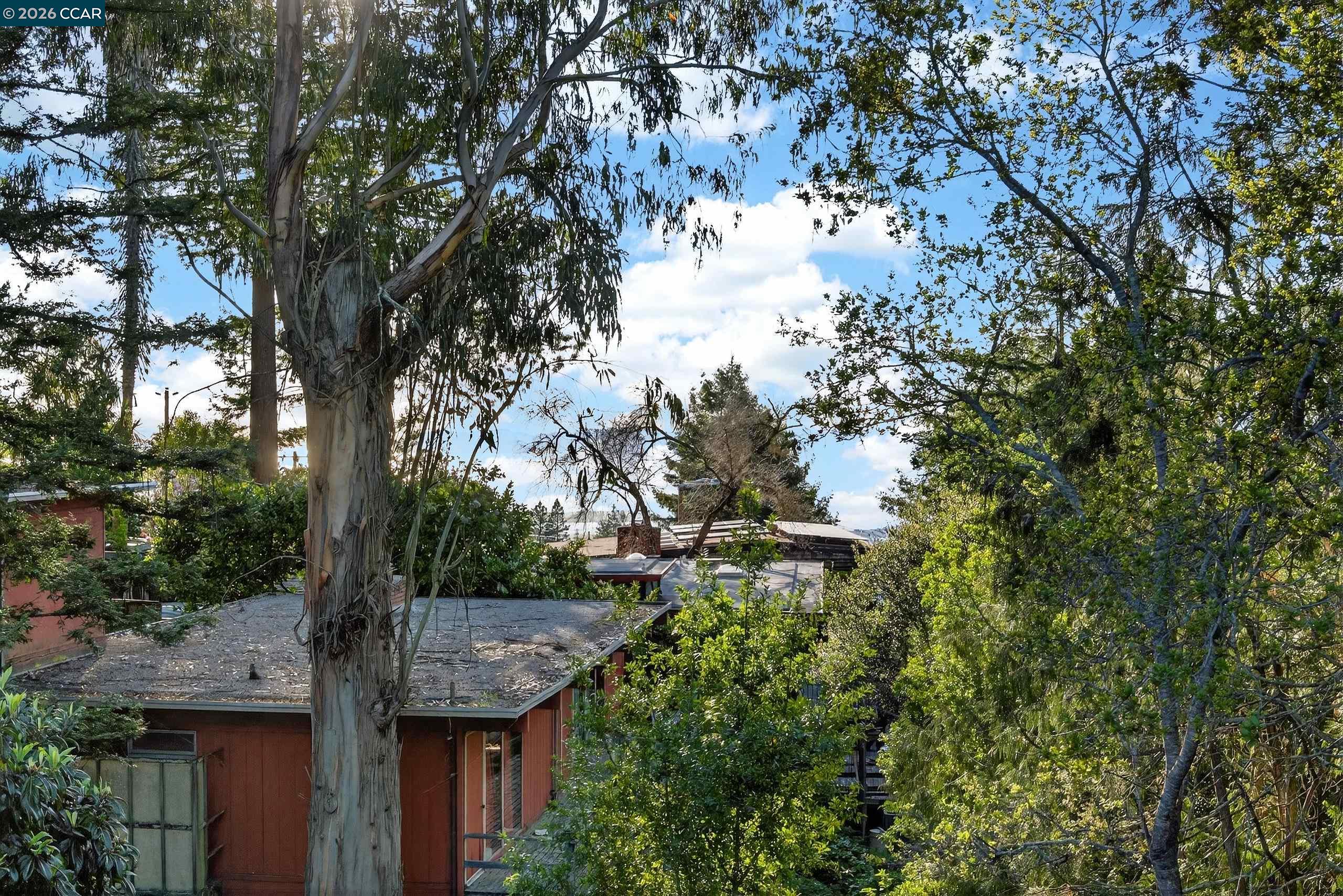 230 Fairlawn Drive Berkeley, CA 94708 - Photo 44 of 58
