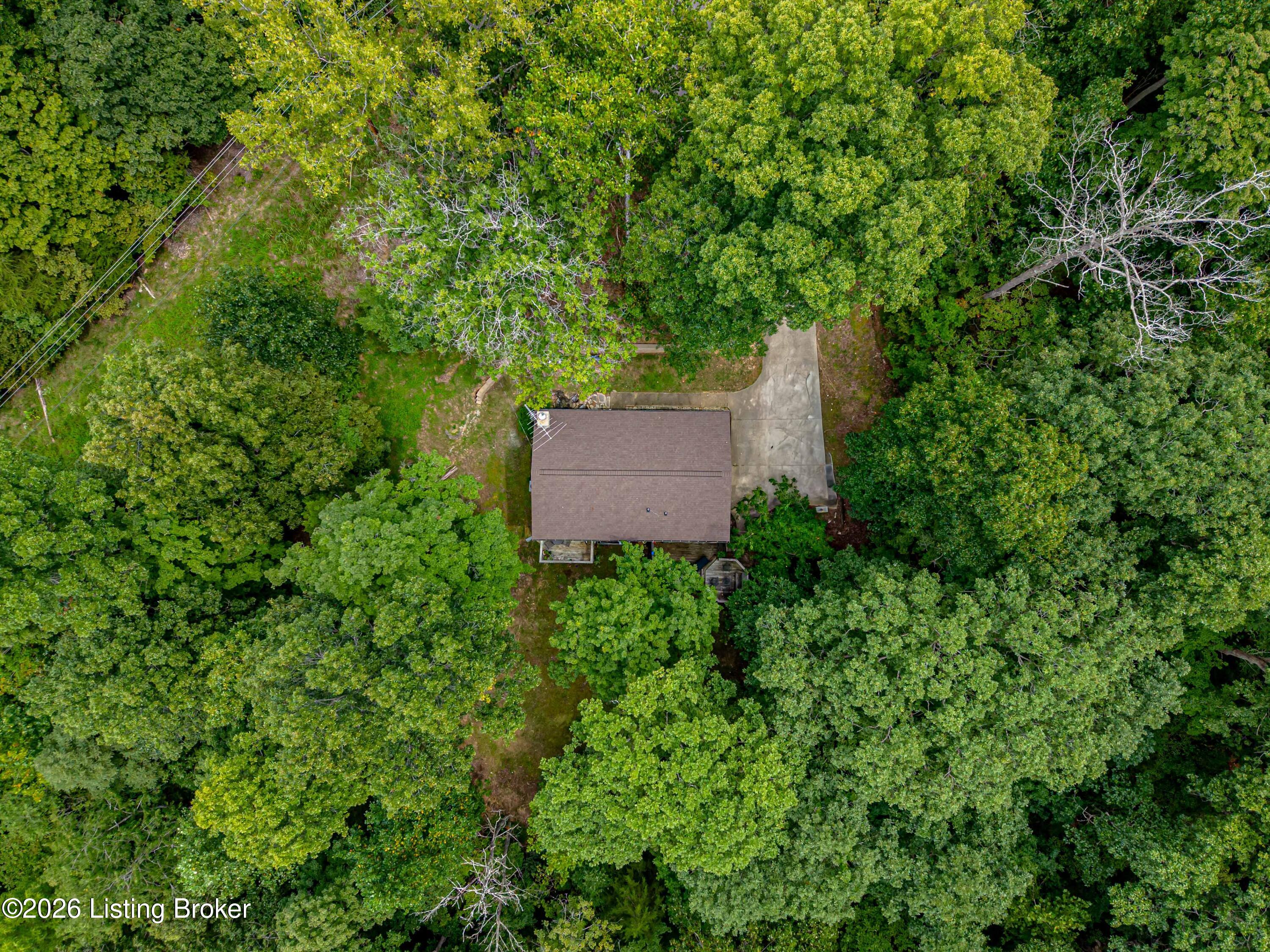 957 Wildflower Ridge Road Brandenburg, KY 40108 - Photo 8 of 70 11-Aerial-Roof-View