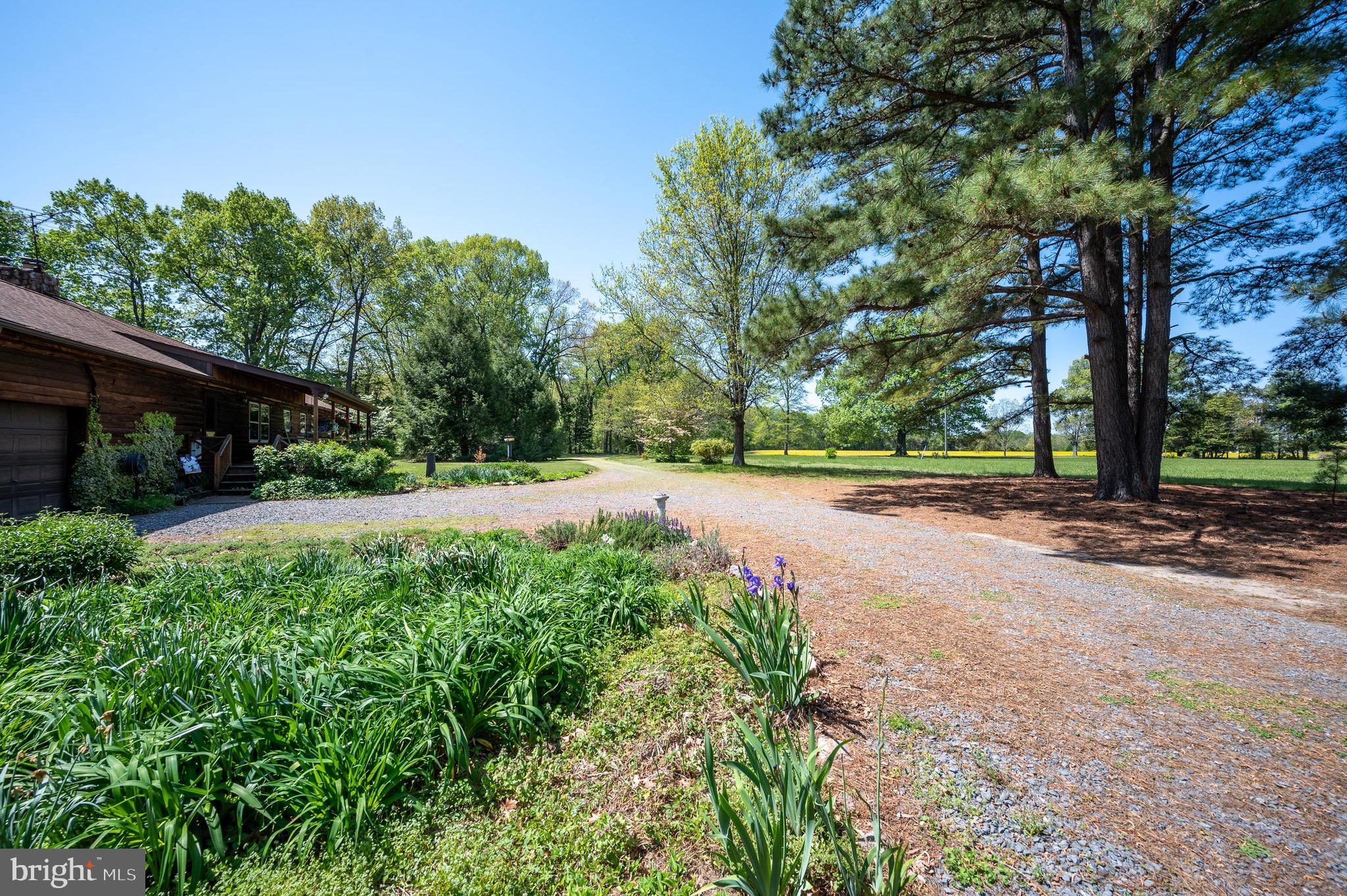 20586 Ridge Road Colonial Beach, VA 22443 - Photo 3 of 34 Driveway
