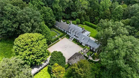 a view of a garden with a tree