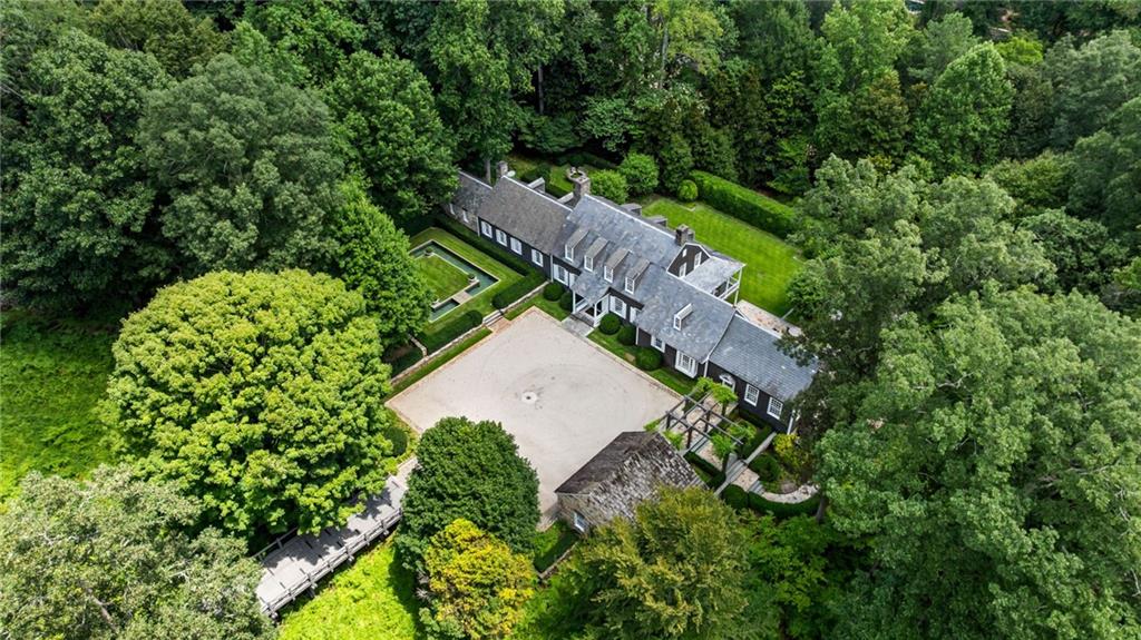 a view of a garden with a tree