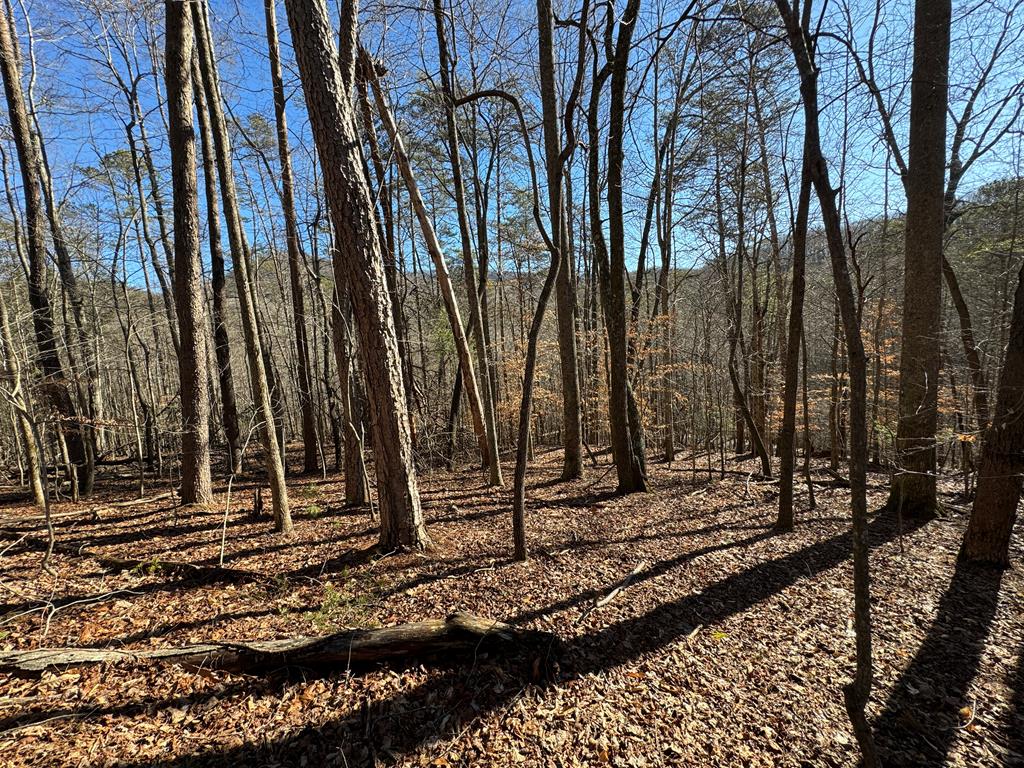 9770 Big Creek Road Ellijay, GA 30536 - Photo 1 of 45 Main View