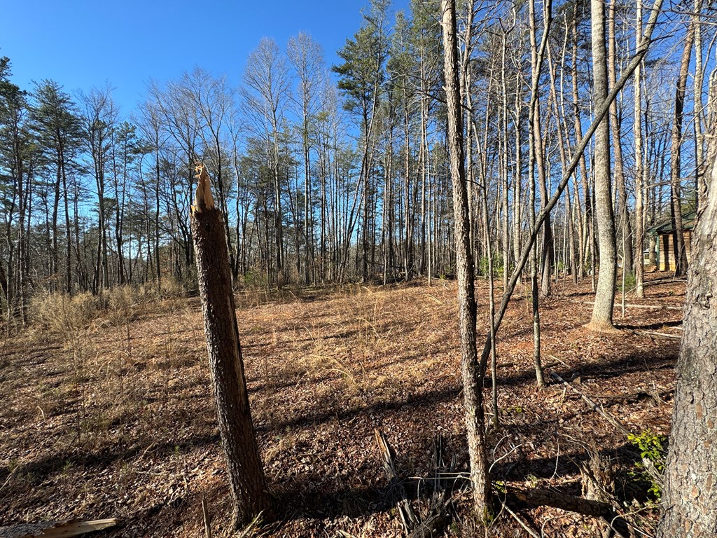 9770 Big Creek Road Ellijay, GA 30536 - Photo 13 of 45 Graded House site