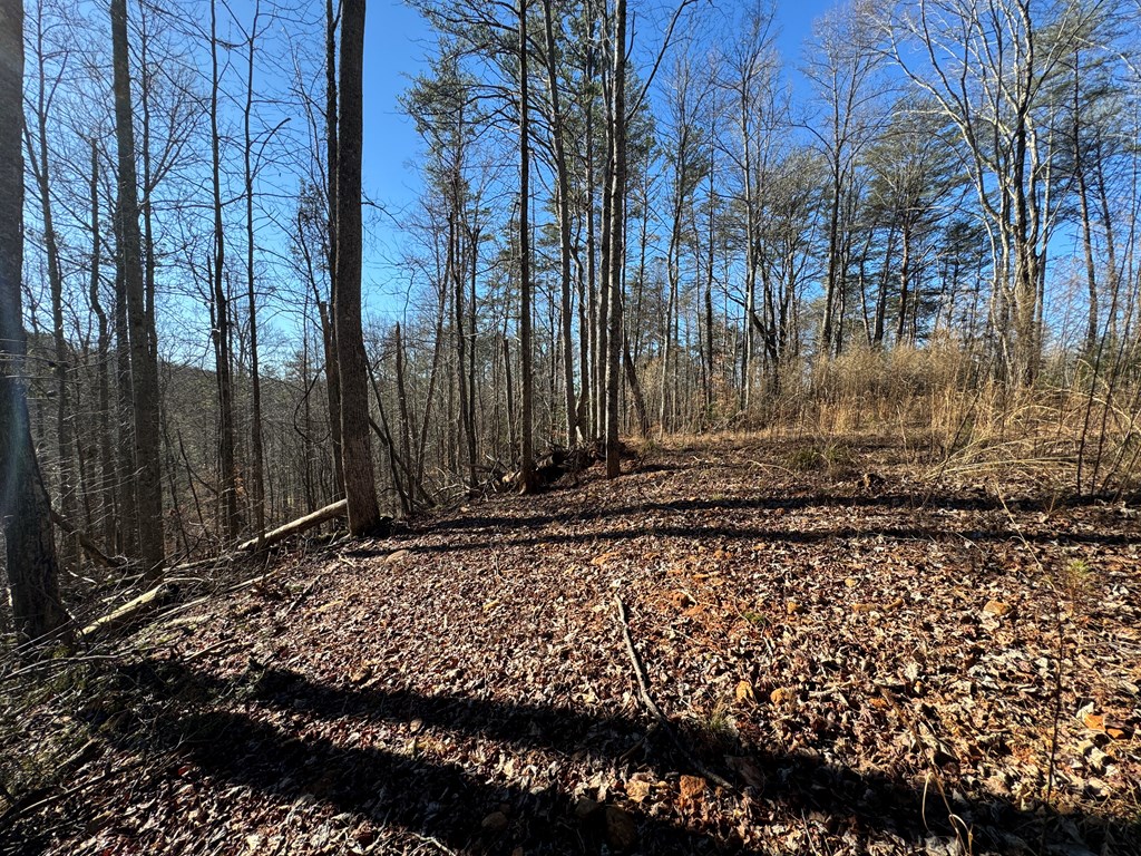 9770 Big Creek Road Ellijay, GA 30536 - Photo 23 of 45 Graded House site