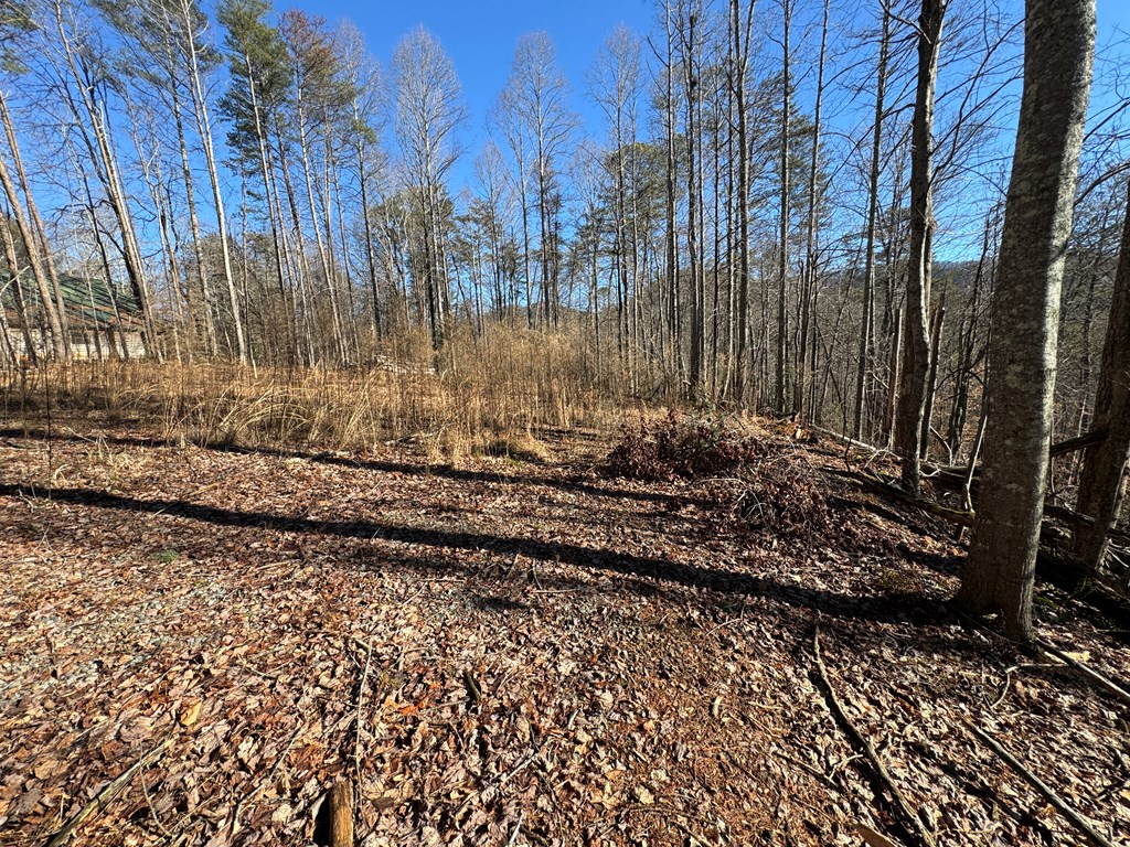 9770 Big Creek Road Ellijay, GA 30536 - Photo 24 of 45 Graded House site