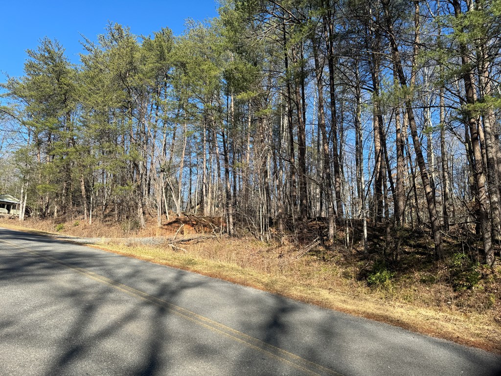 9770 Big Creek Road Ellijay, GA 30536 - Photo 29 of 45 Graded Driveway
