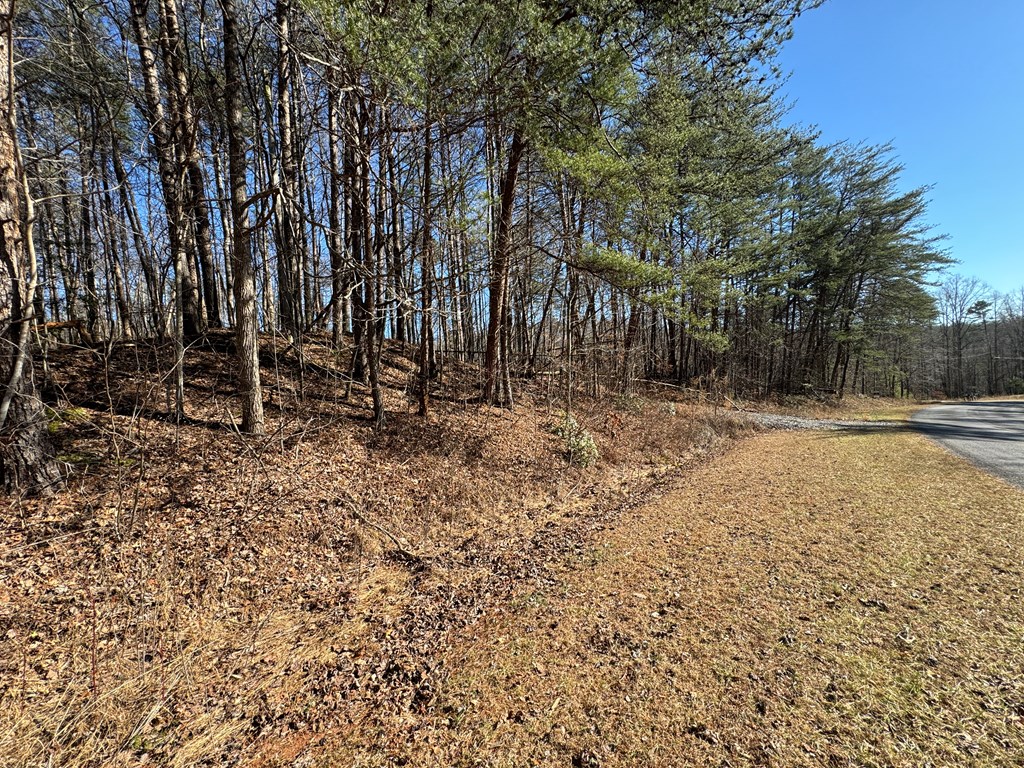 9770 Big Creek Road Ellijay, GA 30536 - Photo 33 of 45 Graded Driveway