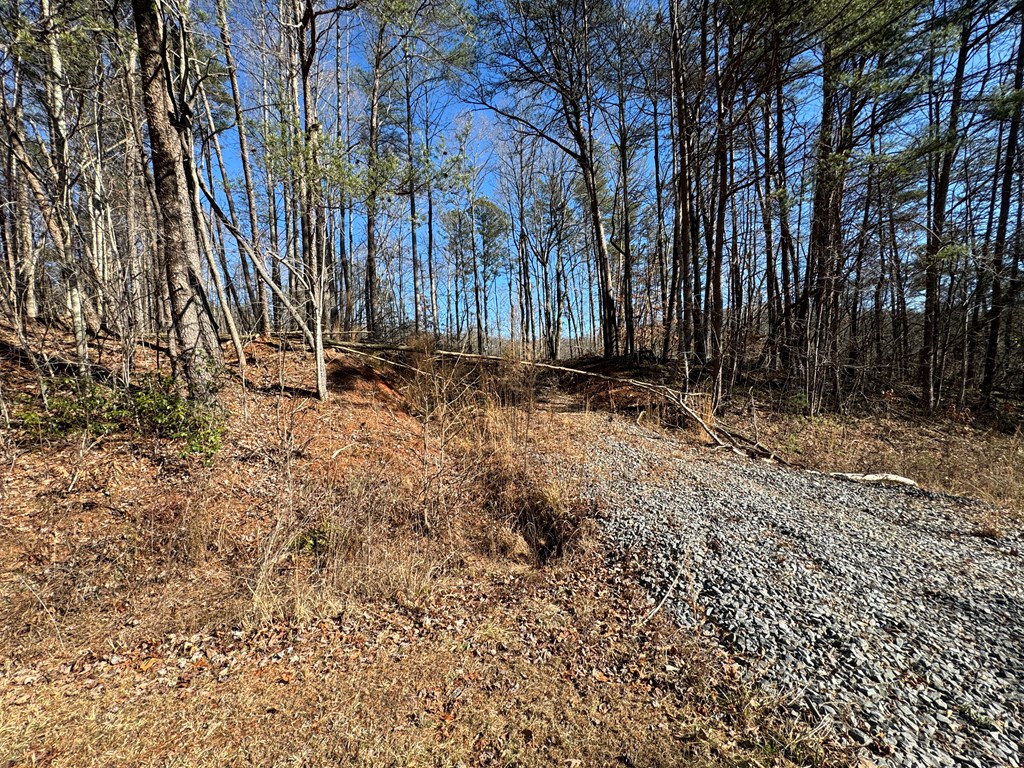 9770 Big Creek Road Ellijay, GA 30536 - Photo 34 of 45 Graded Driveway