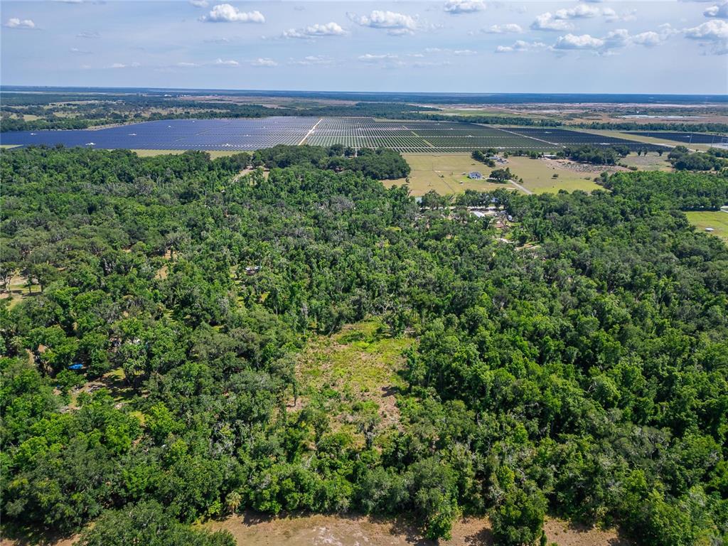 672 Highway Lithia Lithia, FL 33547 - Photo 10 of 24
