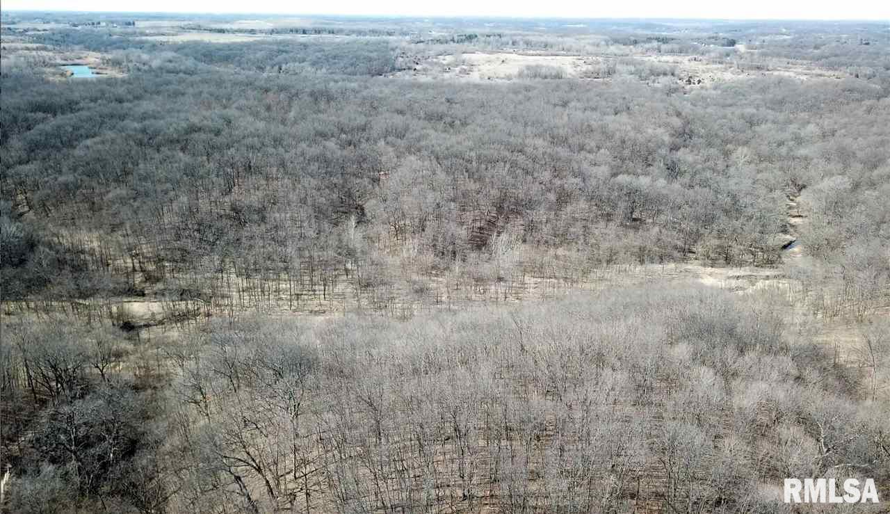0 Taylor Road Hanna City, IL 61536 - Photo 11 of 36 Gallery Image 11