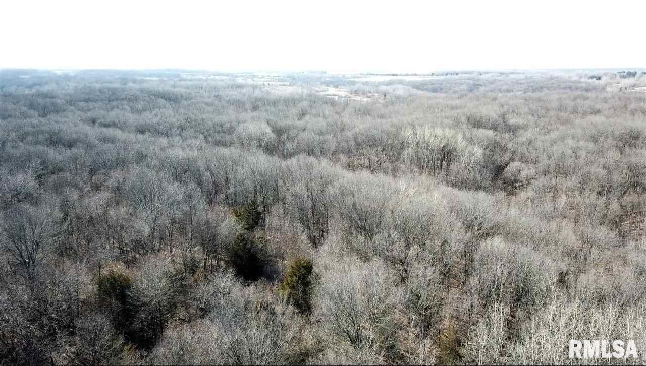 0 Taylor Road Hanna City, IL 61536 - Photo 22 of 36 Gallery Image 22