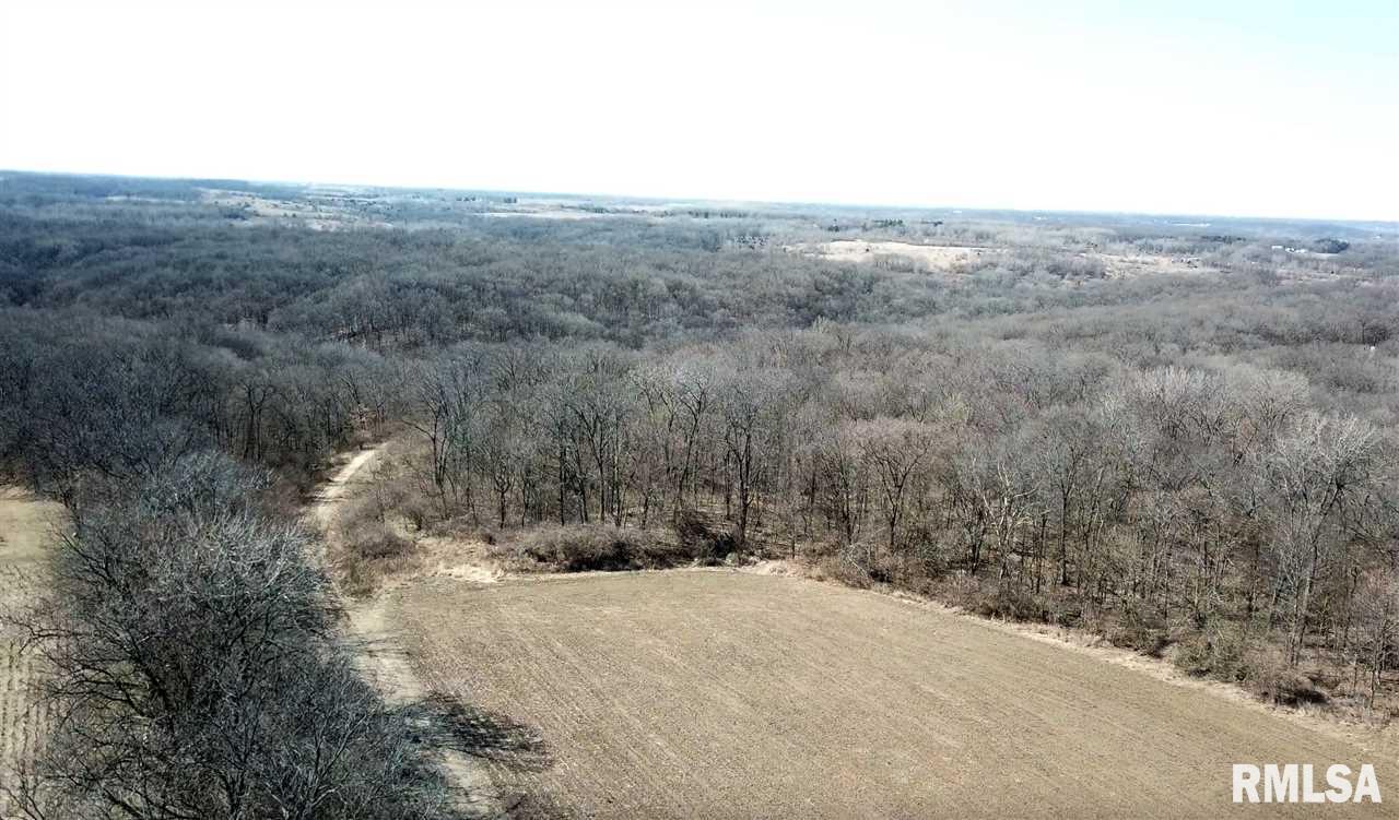 0 Taylor Road Hanna City, IL 61536 - Photo 7 of 36 Gallery Image 7