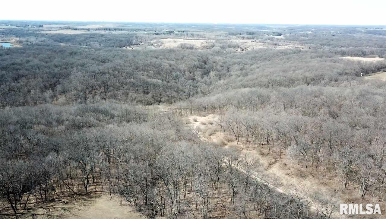 0 Taylor Road Hanna City, IL 61536 - Photo 9 of 36 Gallery Image 9