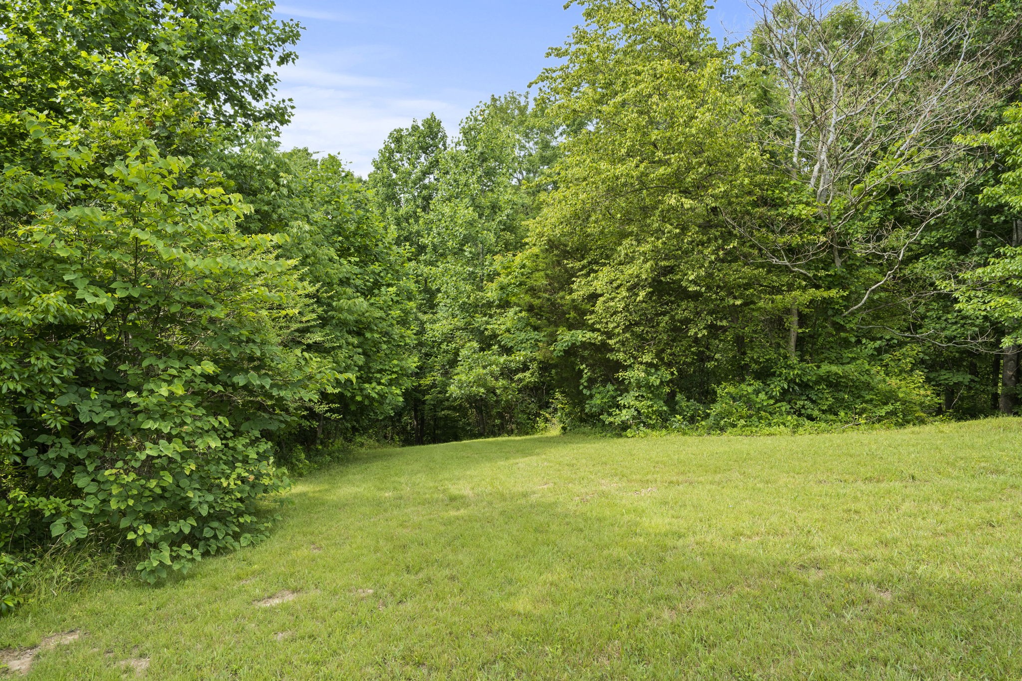 11698 Betts Road Greenbrier, TN 37073 - Photo 38 of 59 Gallery Image 38