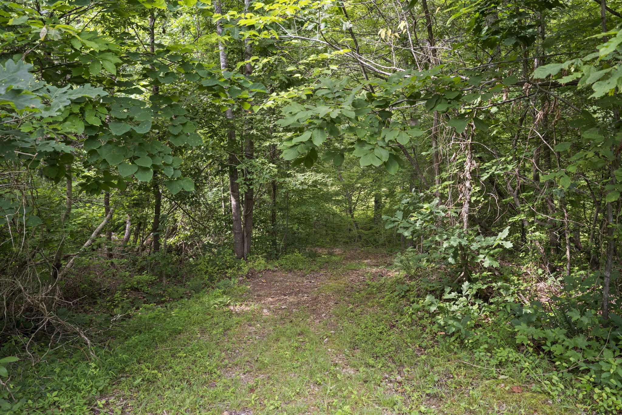 11698 Betts Road Greenbrier, TN 37073 - Photo 39 of 59 Gallery Image 39