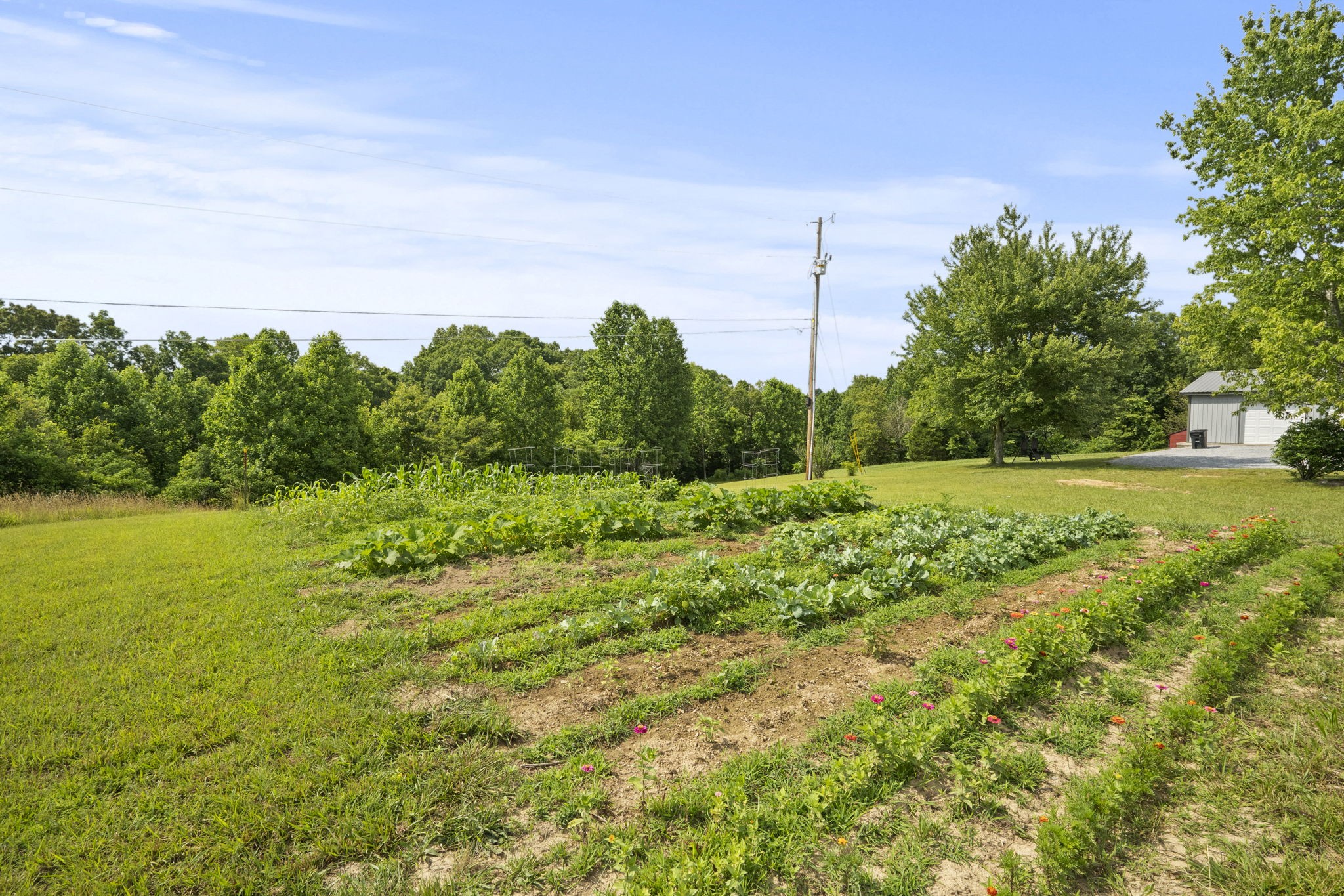 11698 Betts Road Greenbrier, TN 37073 - Photo 43 of 59 Gallery Image 43