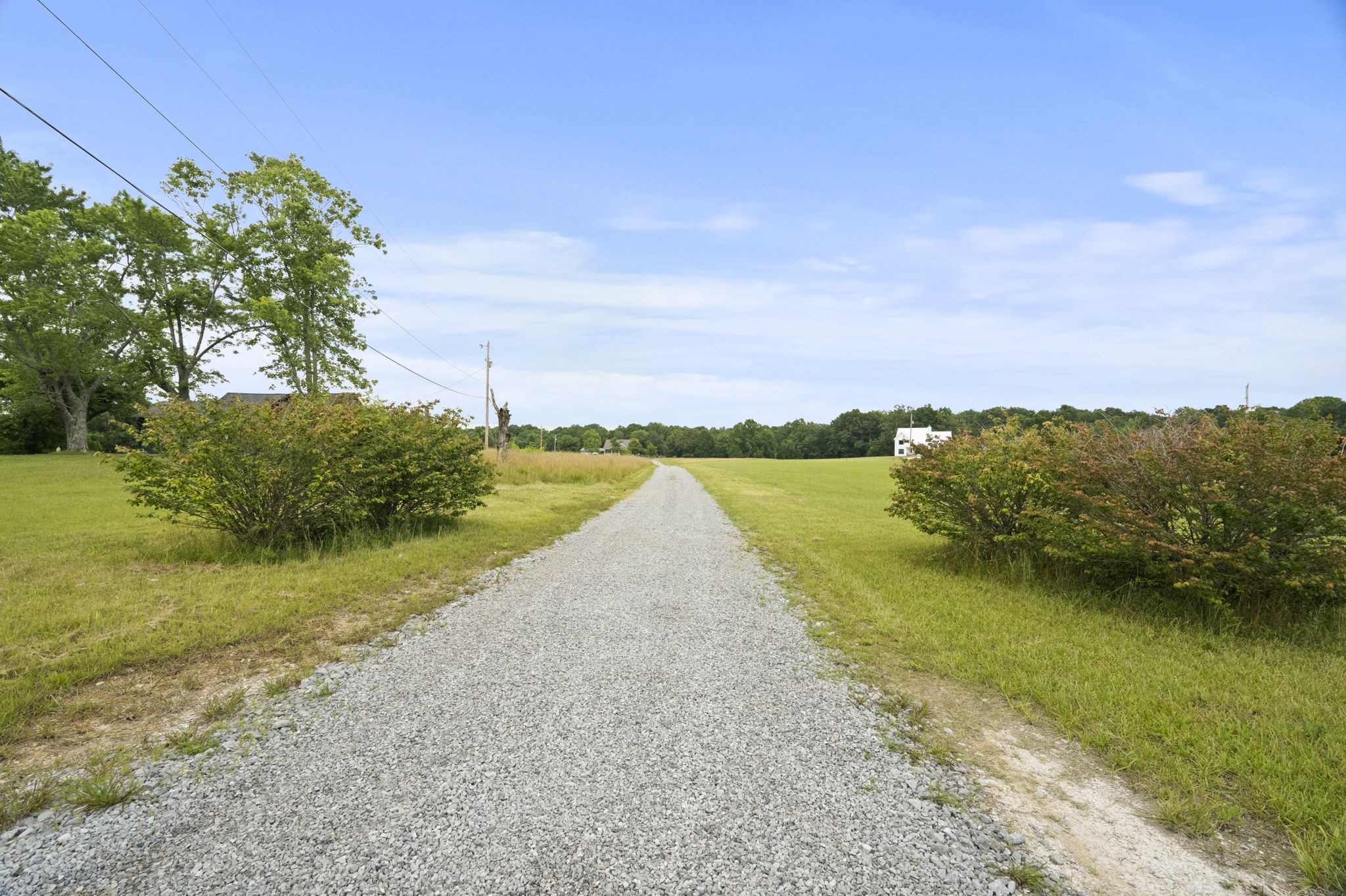 11698 Betts Road Greenbrier, TN 37073 - Photo 50 of 59 Gallery Image 50