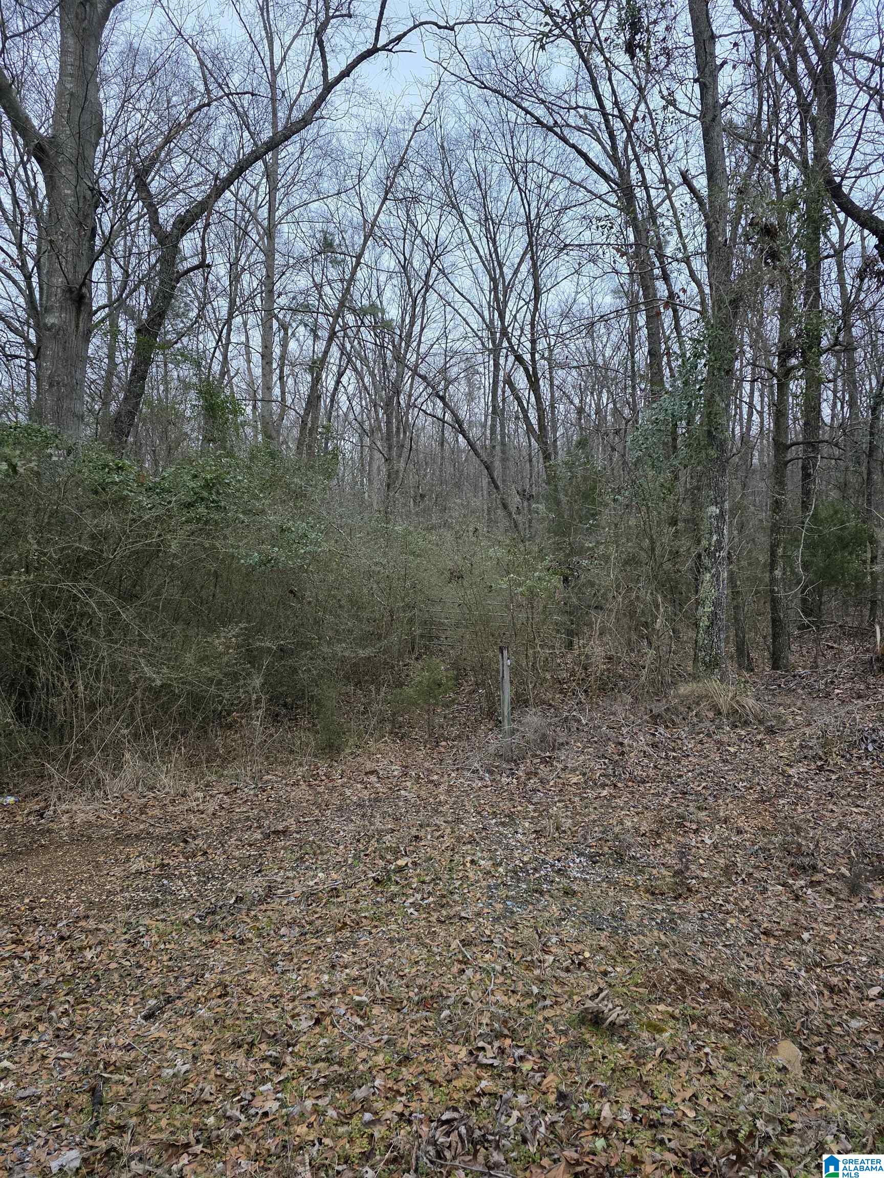 322 Tucker Road Talladega, AL 35160 - Photo 1 of 21