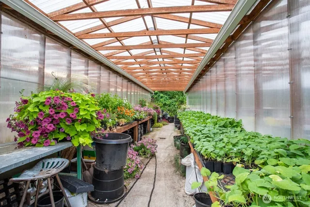 a view of a backyard with plants and a fountain