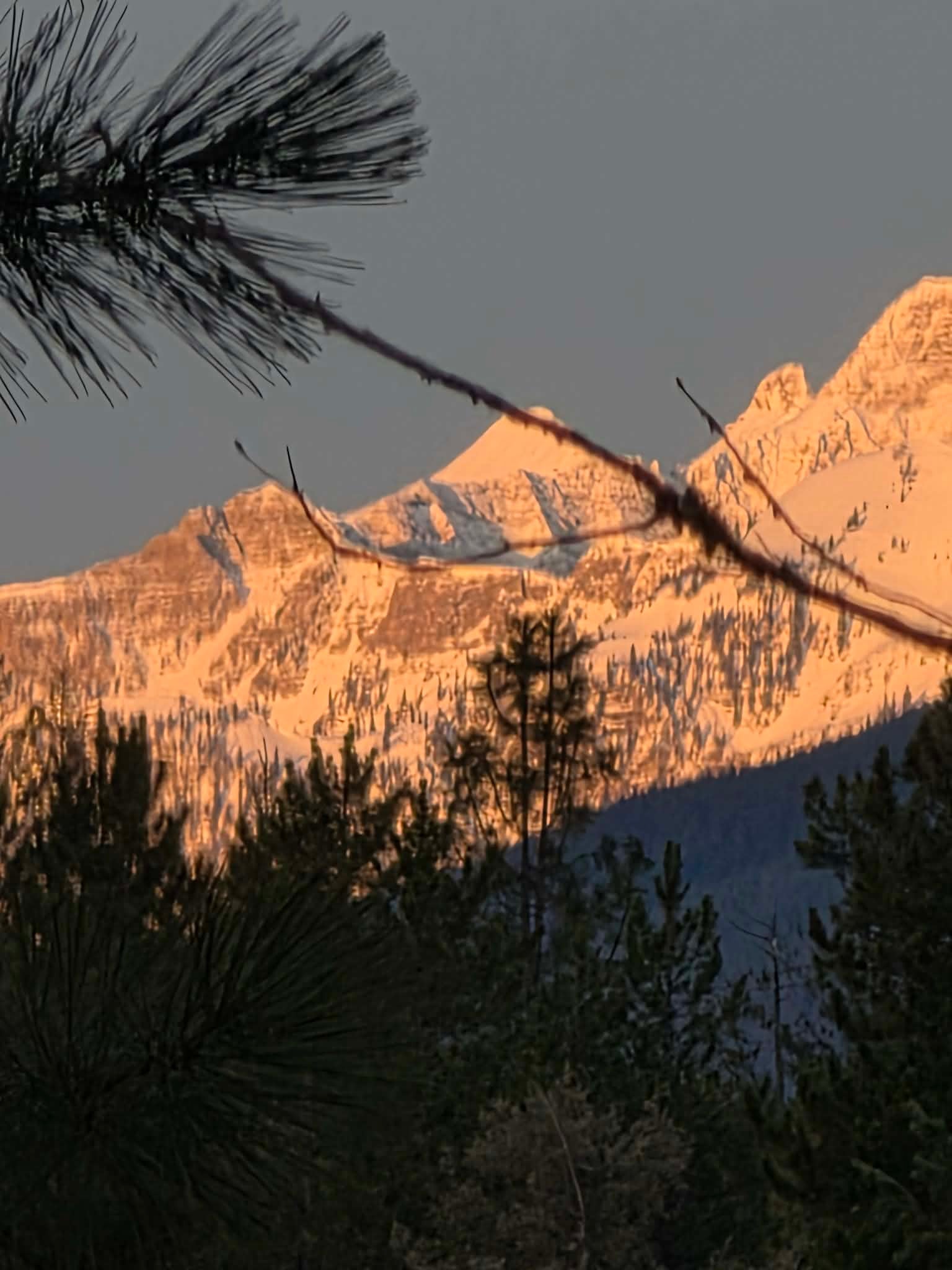 Nhn Hollopeter Road Condon, MT 59826 - Photo 38 of 72 Alpenglow view