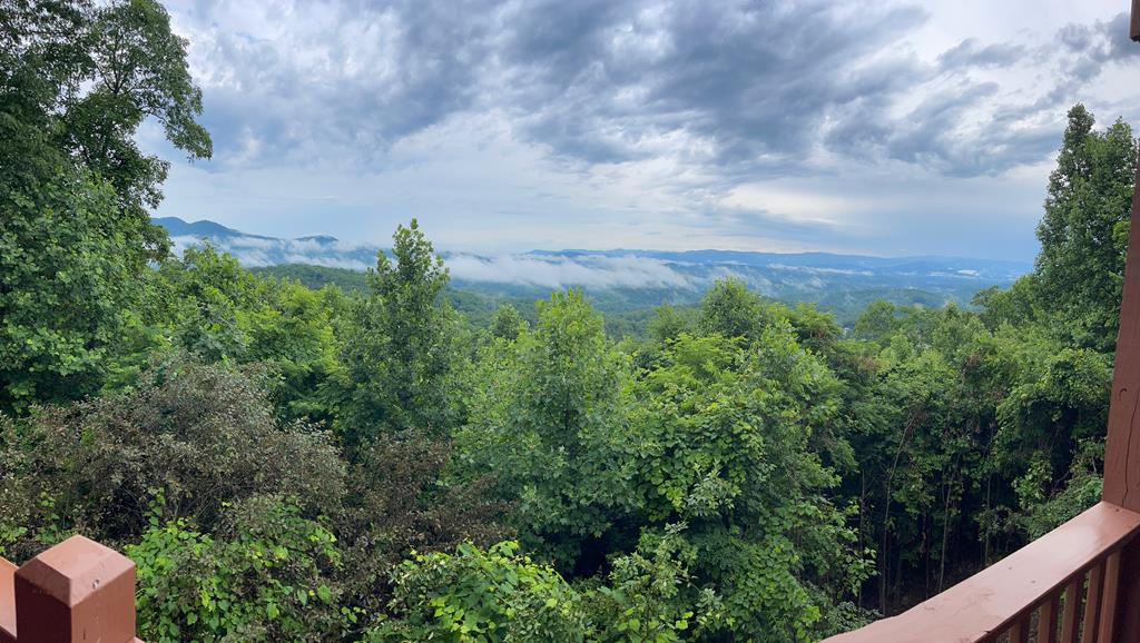 1013 Buck Ridge Drive Murphy, NC 28906 - Photo 5 of 42 Summer Views