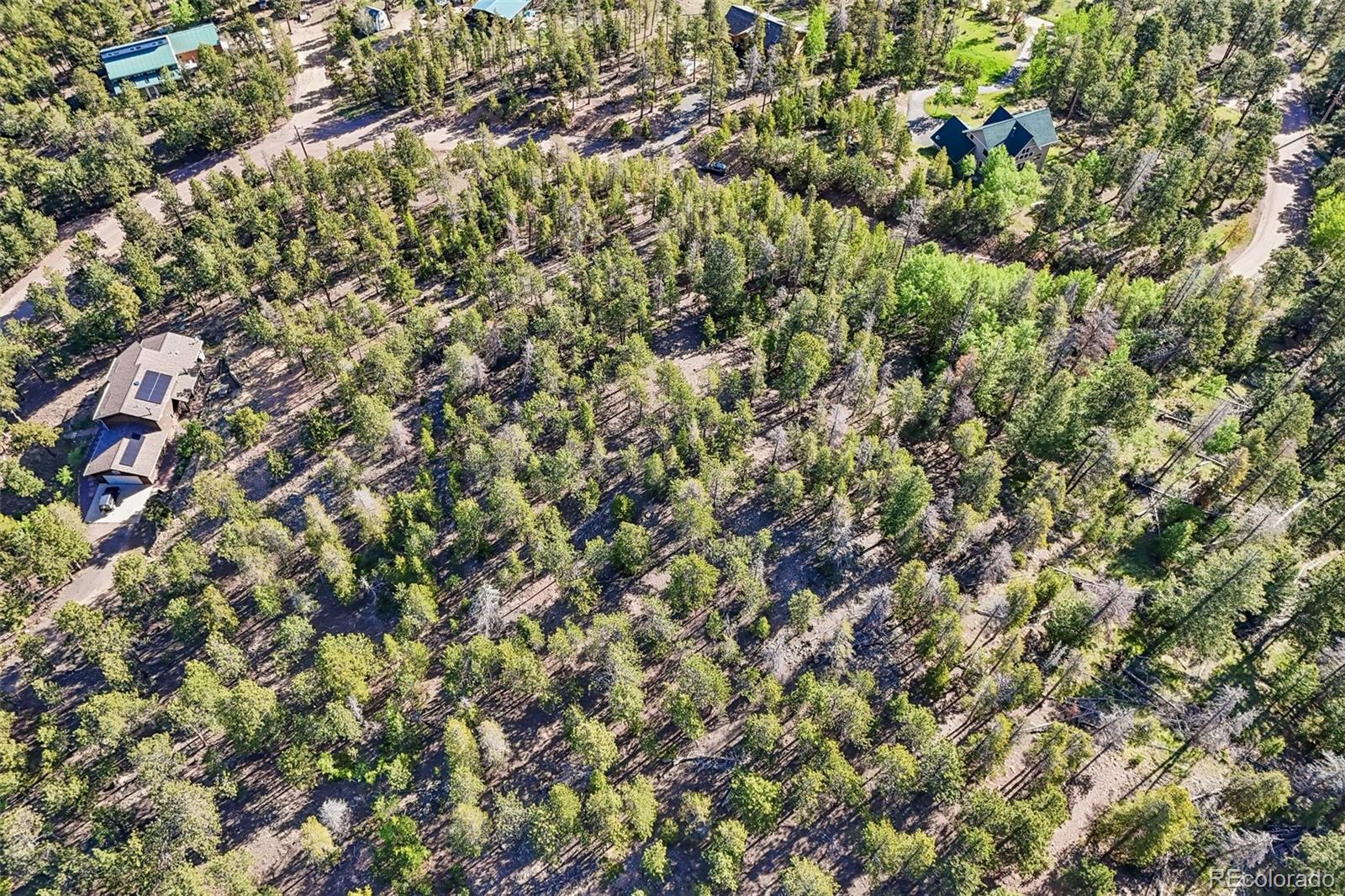 717 Crescent Lake Road Golden, CO 80403 - Photo 23 of 27