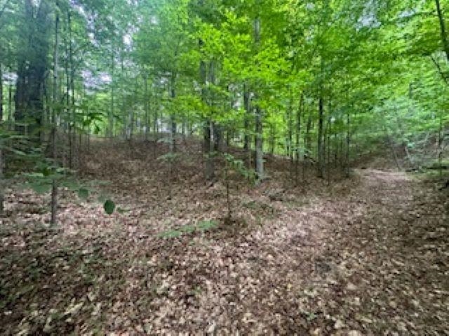 V/l McKinney Road Central Lake, MI 49622 - Photo 3 of 29