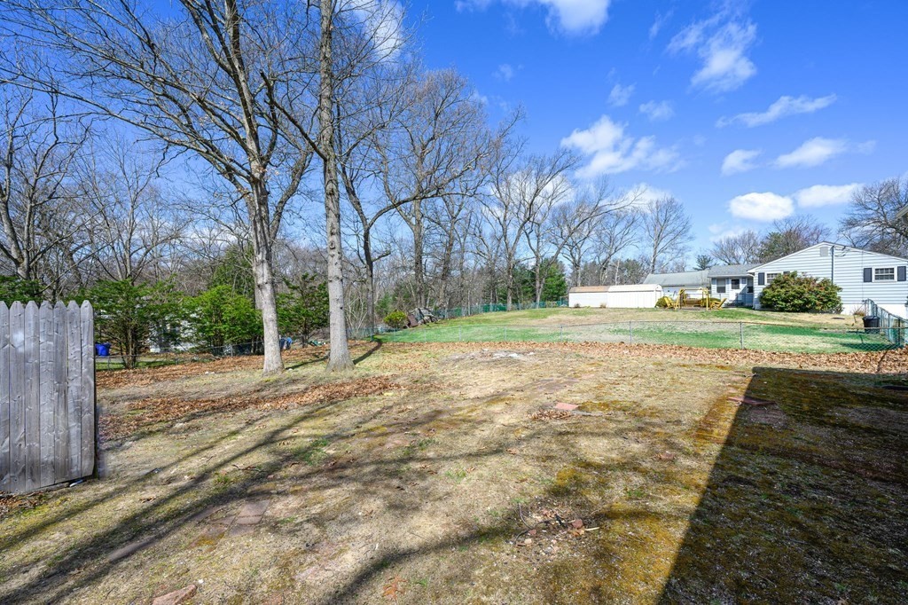 381 North Brook Road Springfield, MA 01119 - Photo 30 of 35 a view of a yard with plants and trees