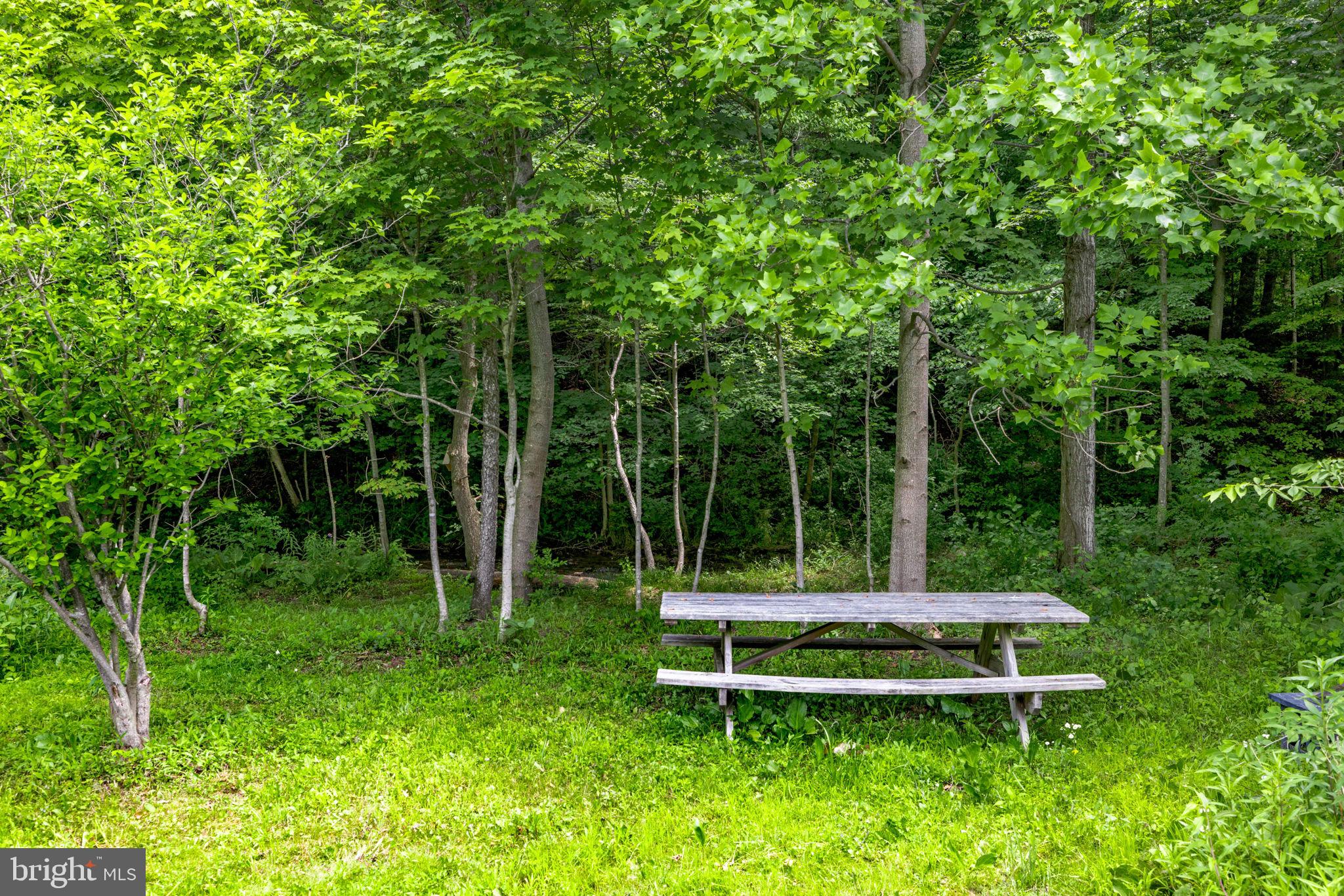 9493 Route 235 Beavertown Pa Beavertown, PA 17813 - Photo 73 of 79 Outside, Creekside