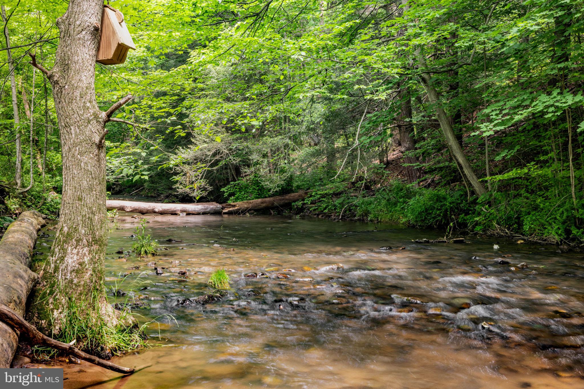 9493 Route 235 Beavertown Pa Beavertown, PA 17813 - Photo 74 of 79 Outside, Creek on property