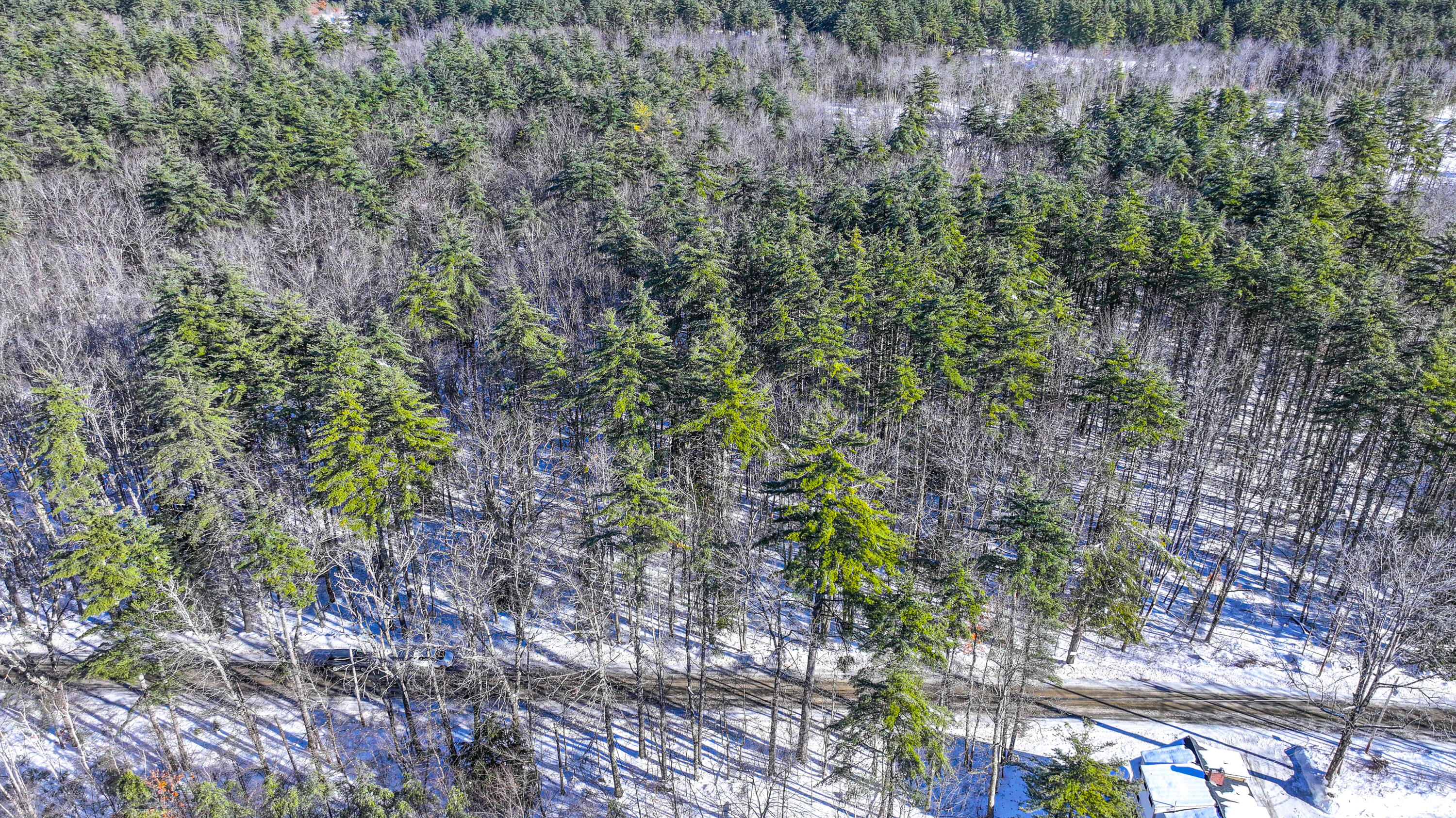 Lot ''a'' Hemlock Bridge Road Fryeburg, ME 04037 - Photo 5 of 8 hemlock bridge road fryeburg-28