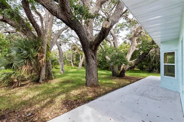 a view of a yard with a tree