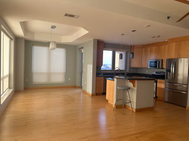 $3,700 | 125 North Hamilton Street, Unit 1001, Madison, WI 53703