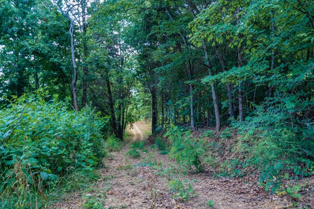 1278 Rankin Hill Road Newport, TN 37821 - Photo 24 of 28 Gallery Image 24