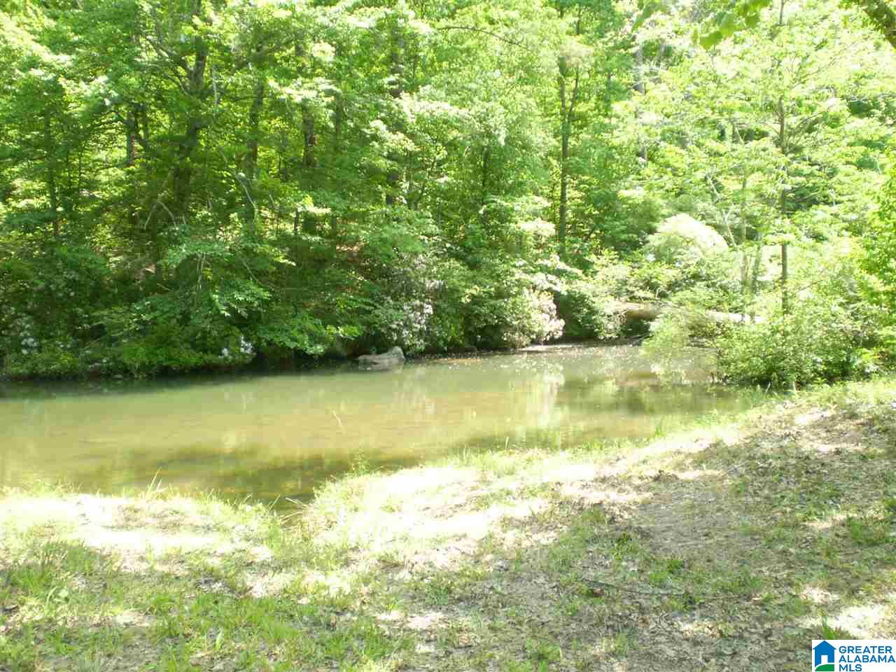 298 Waldrop Road, Unit TR 12 Ashville, AL 35953 - Photo 26 of 29
