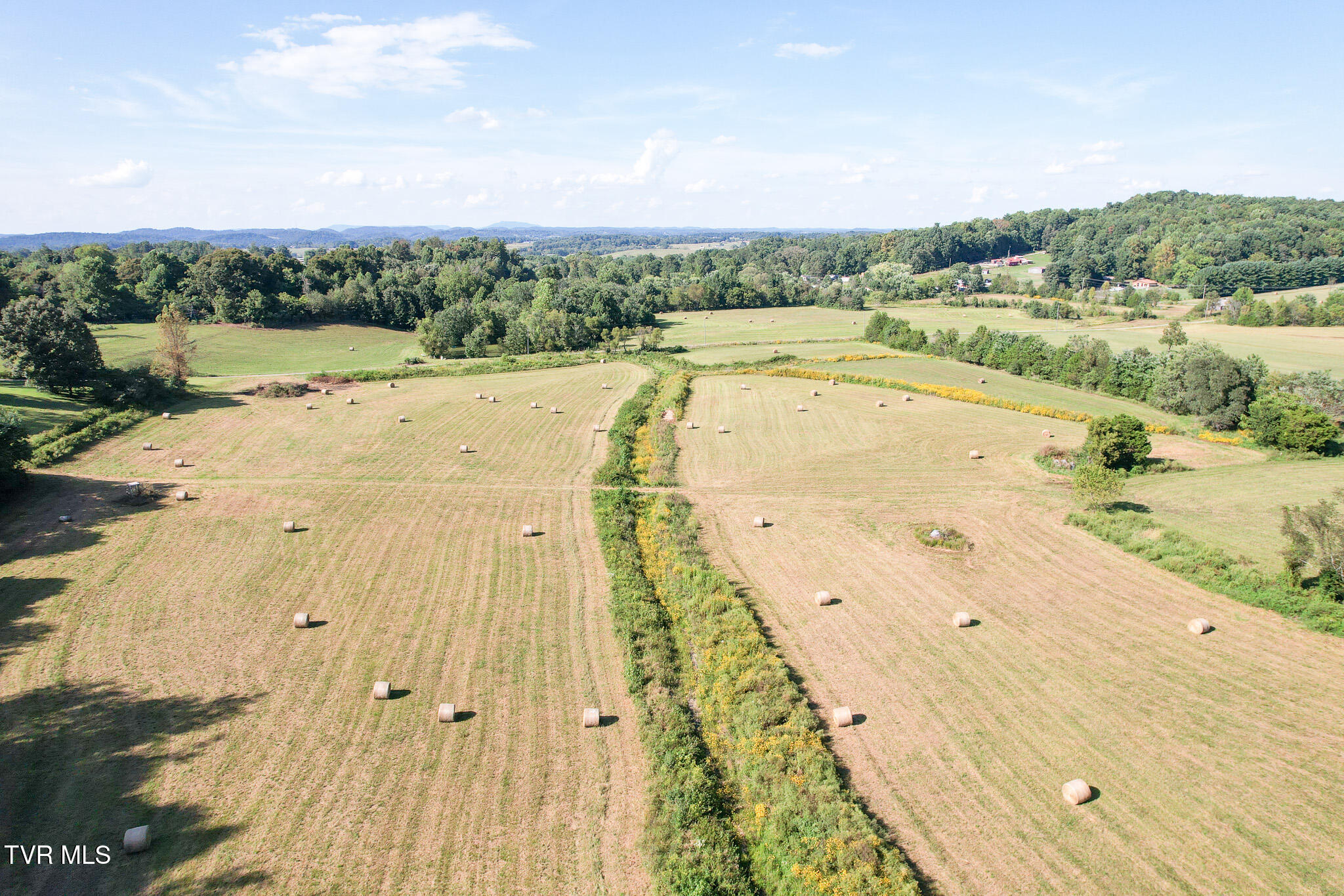 386 Fox Road Chuckey, TN 37641 - Photo 84 of 93 DJI_0114