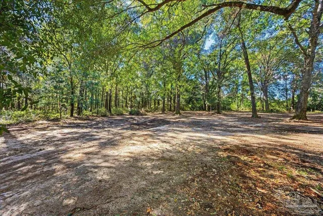 a view of outdoor space with trees