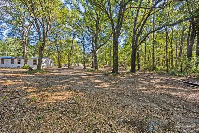 a view of outdoor space with trees