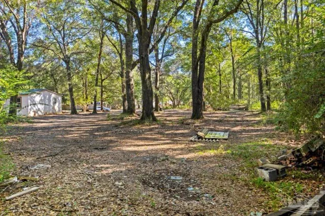 a view of backyard with green space