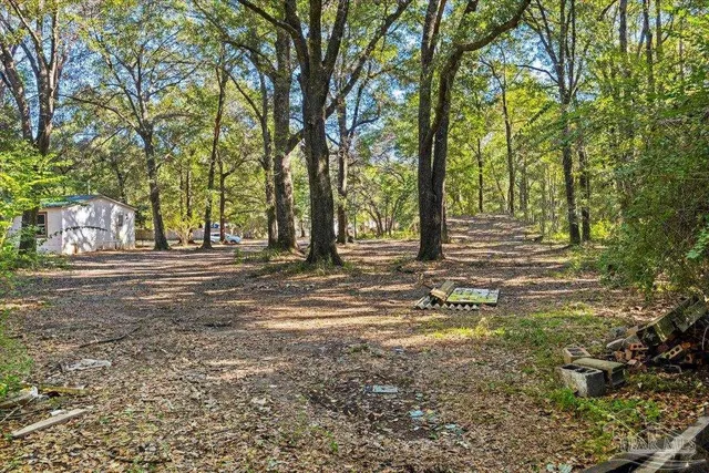 a backyard of a house with lots of green space