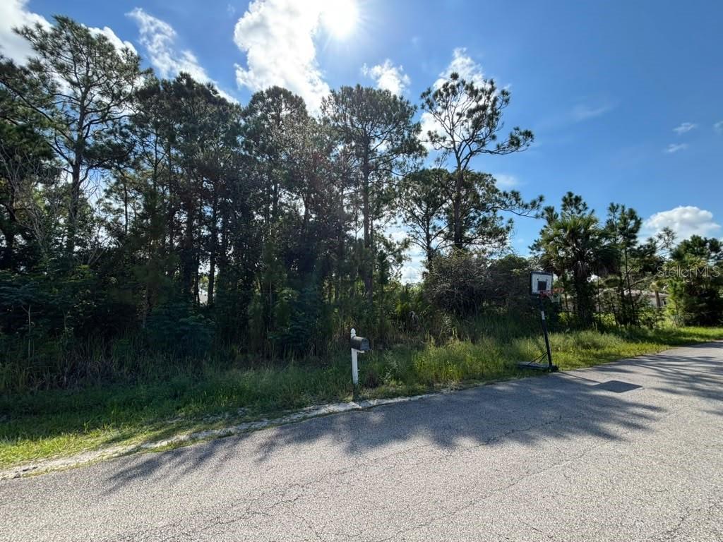 473 Wayland Road Southwest Palm Bay, FL 32908 - Photo 5 of 6 Gallery Image 5