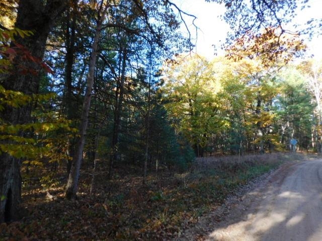 South River Road Kalkaska, MI 49646 - Photo 3 of 8 Gallery Image 3