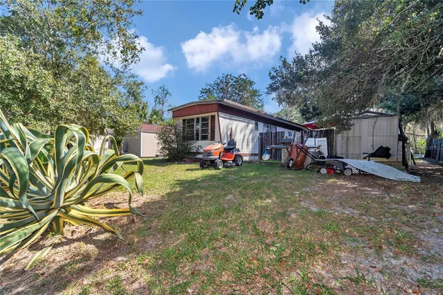 a view of patio with a table chairs potted plants and large tree