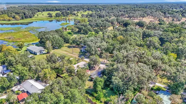 an aerial view of residential houses with outdoor space and trees