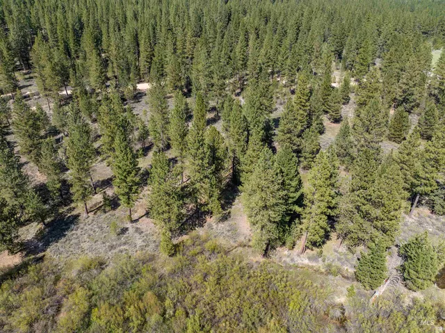$225,000 | Lot 4 Star Creek, Idaho City, ID 83631