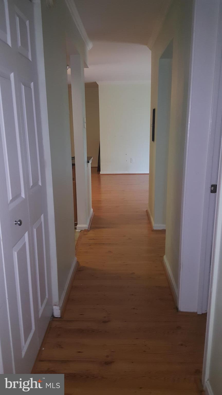14802 Rydell Road, Unit 203 Centreville, VA 20121 - Photo 14 of 14 Interior (General)